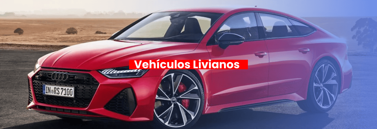 VEHÍCULOS LIVIANOS